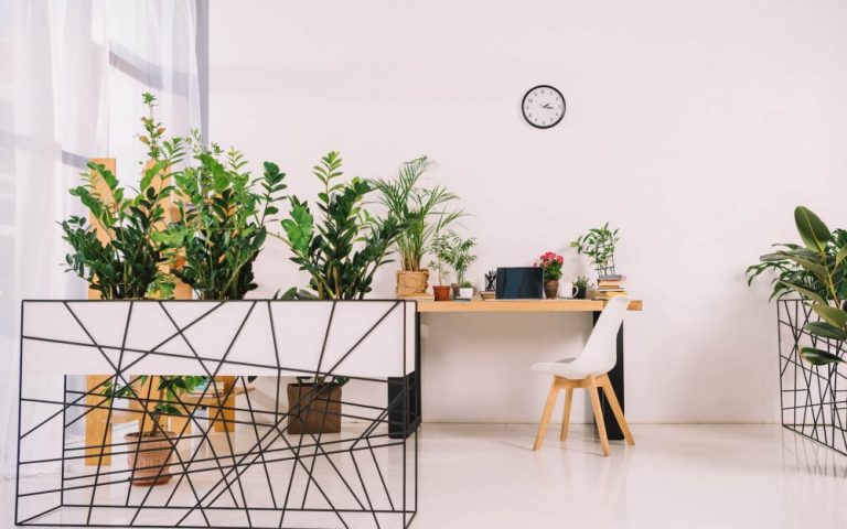 interior-of-business-office-with-green-potted-plan-2021-08-30-19-34-03-utc-e1662518317219.jpg interior-of-business-office-with-green-potted-plan-2021-08-30-19-34-03-utc-e1662518317219.jpg